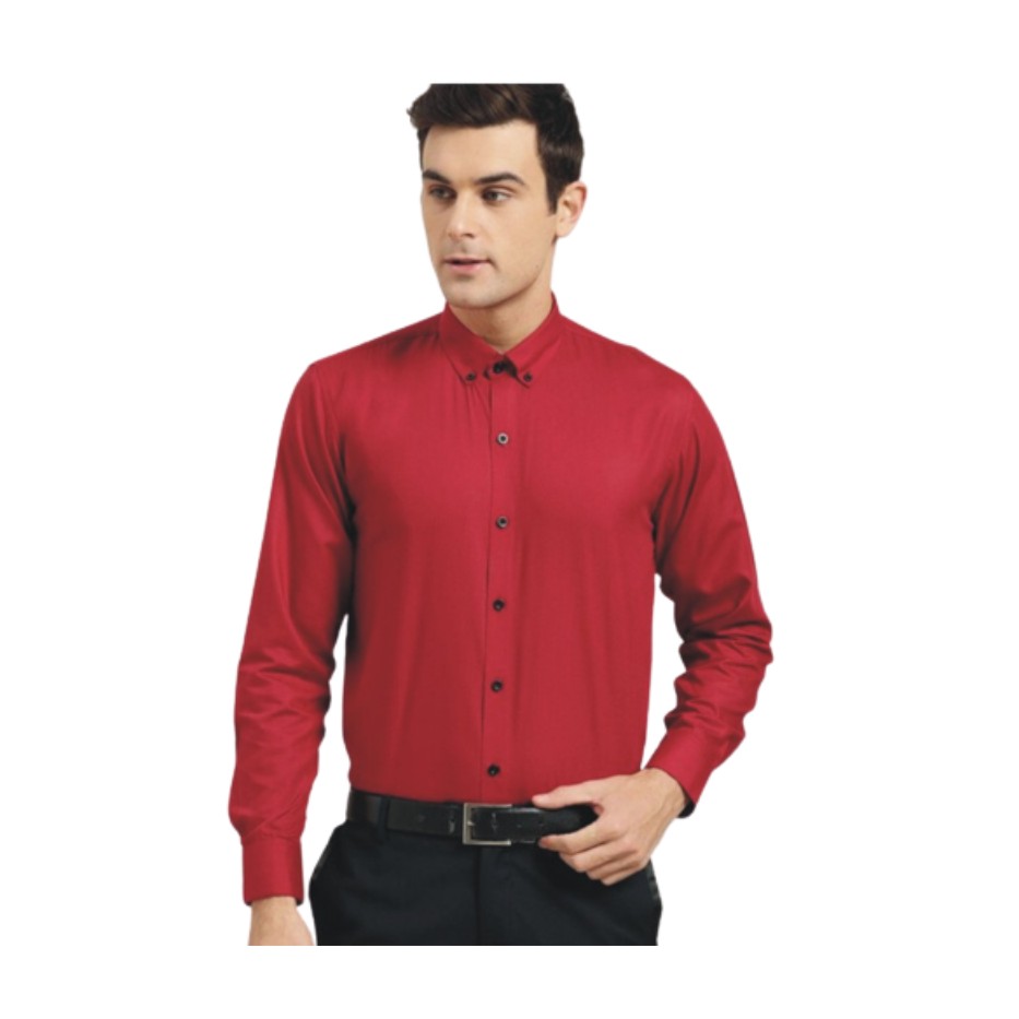 Men Regular Fit Solid Button Down Collar Formal Shirt
